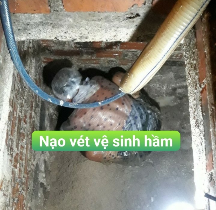 Hình minh họa